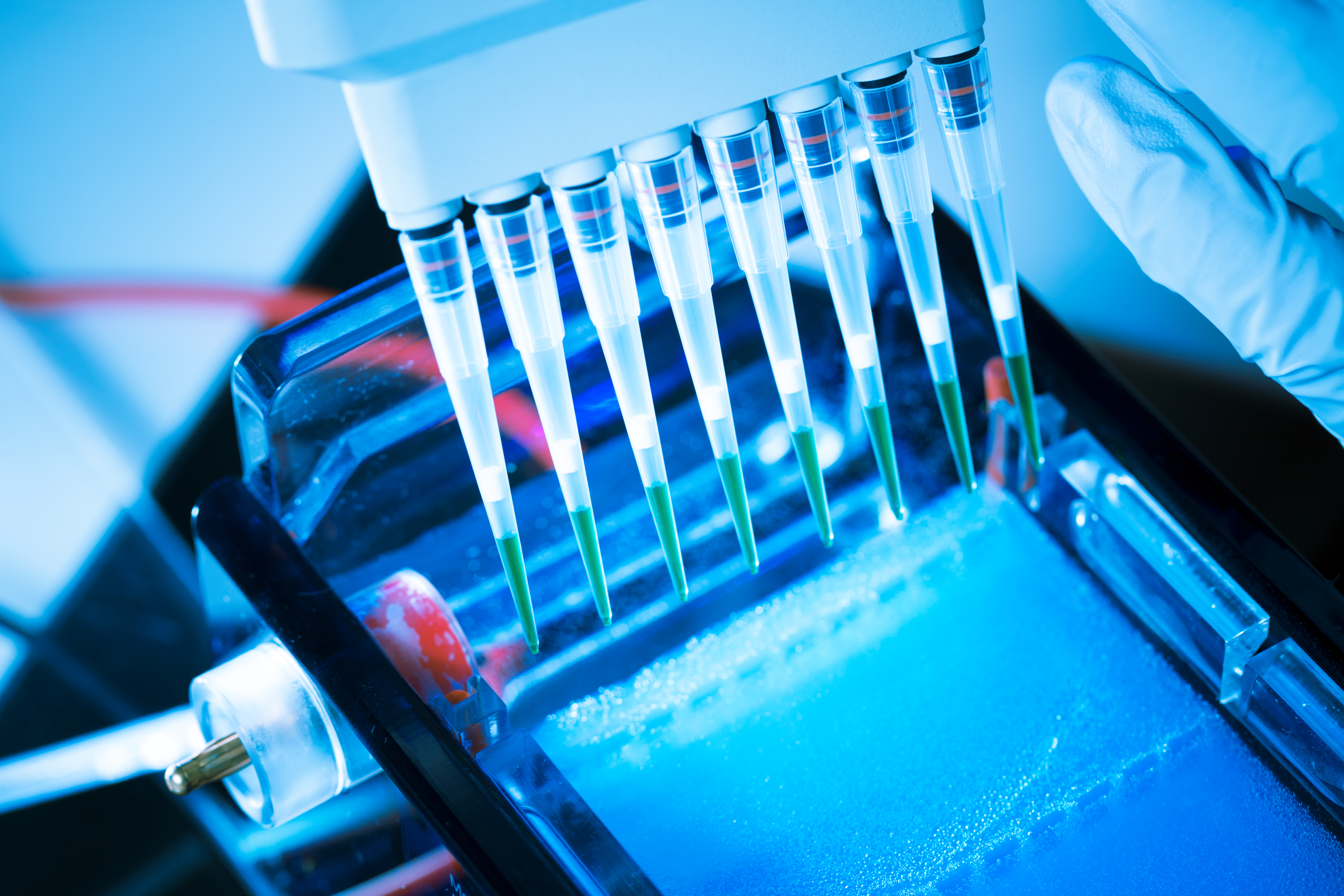 HPLC image
